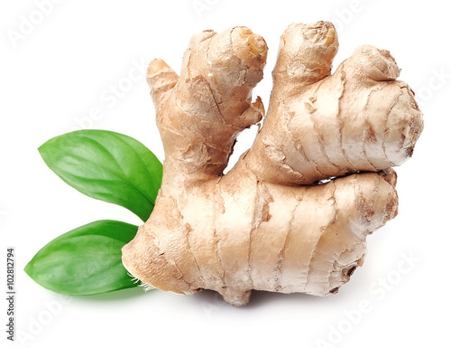 Canvas-taulu Ginger root
