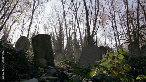 Cemetery: dolly shot across an overgrown autumnal English graveyard.