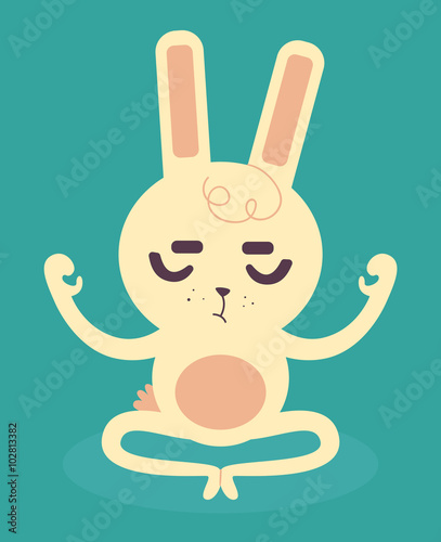 Serene Bunny Meditating