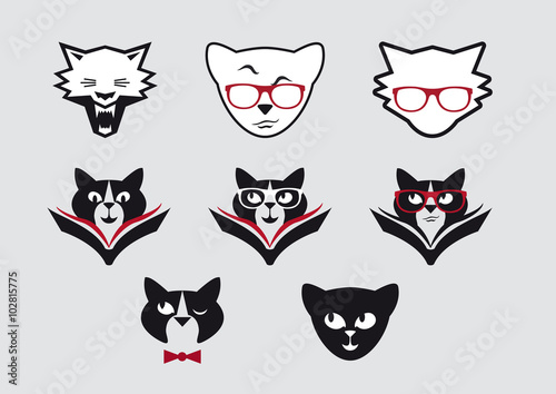 Vector icons of smiley cat faces. Set icons clever cats. Cute cat expressions. Set of intelligent lettered cats. Cat with a book. Cat with glasses.