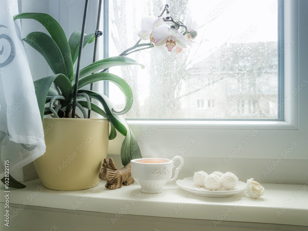 Cup Of Tea And Candy On A Rainy Day In Front Of The Wet City Win Stock Photo Adobe Stock