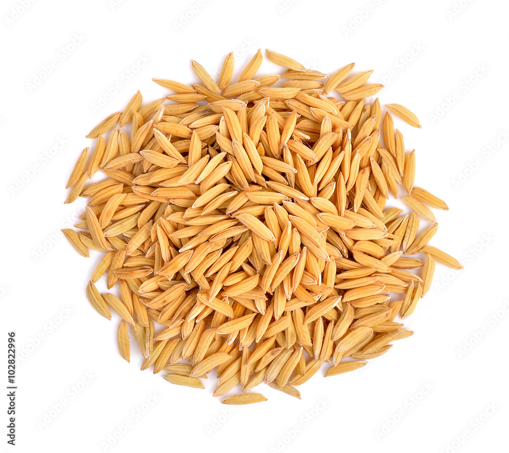 rice seed on white background