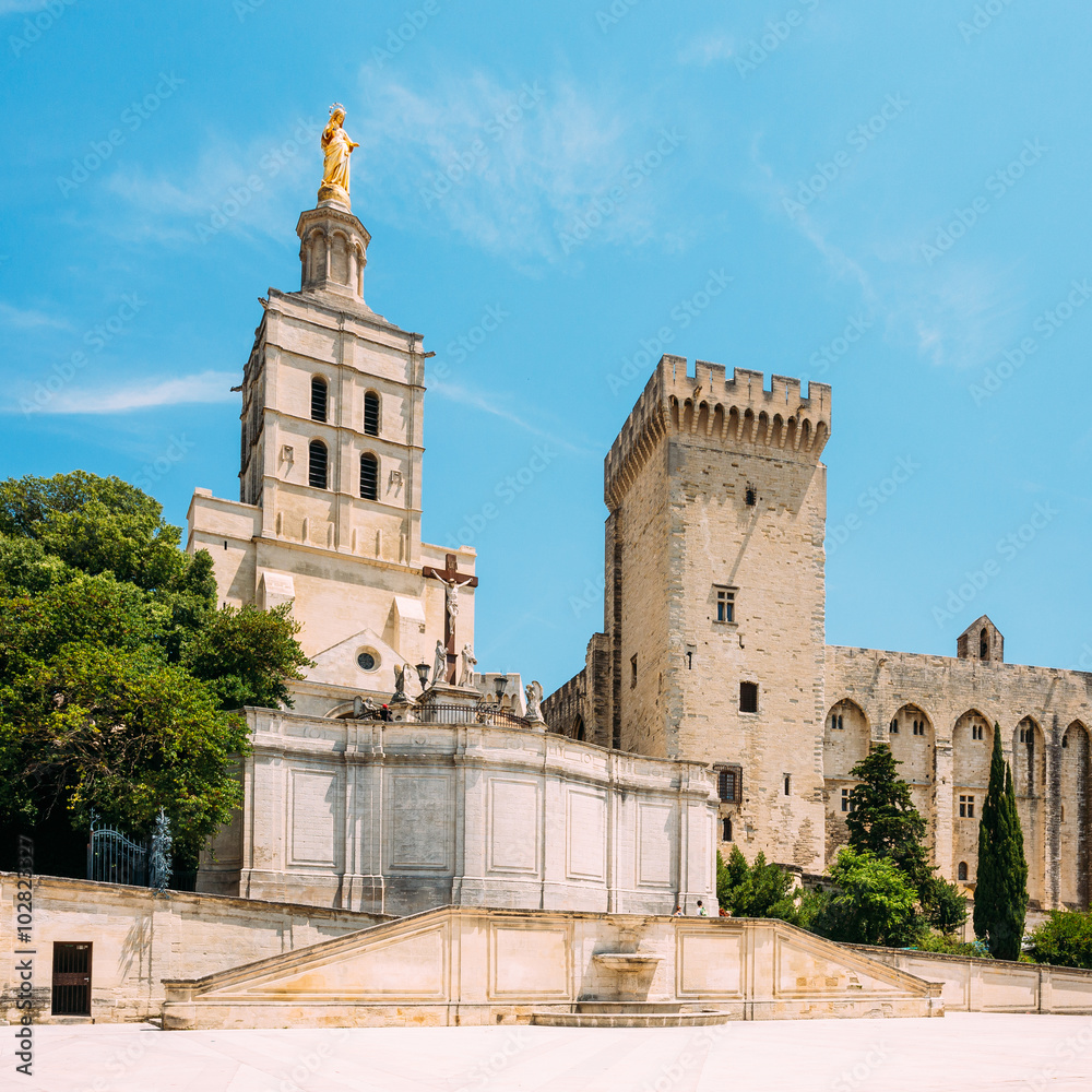 Ancient Popes Palace, Saint-Benezet, Avignon, Provence, France