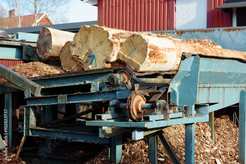 Feeding station for wood photo