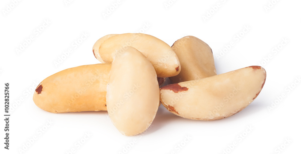 Brazil nut Brazil nut