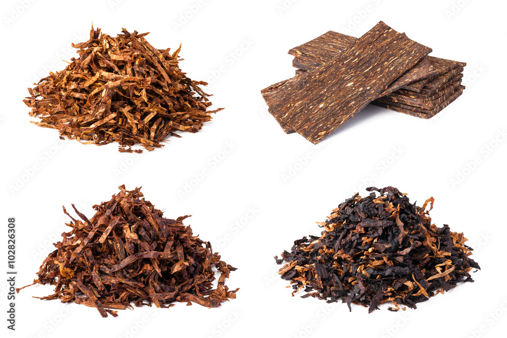 Fototapeta dried smoking tobacco