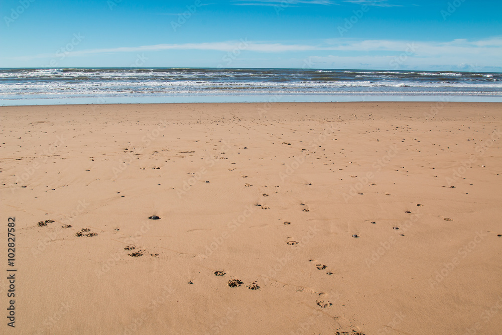 Sandy beach, coast of Atlantic Ocean, Morocco Sandy beach, coast of Atlantic Ocean, Morocco