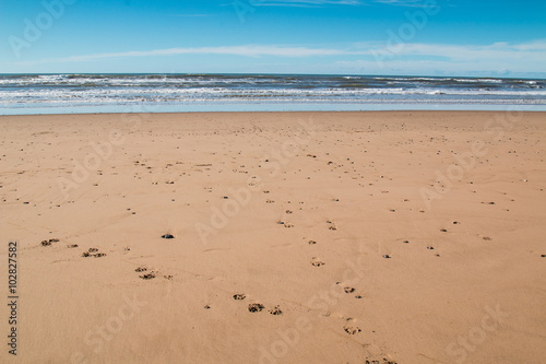 Sandy beach, coast of Atlantic Ocean, Morocco