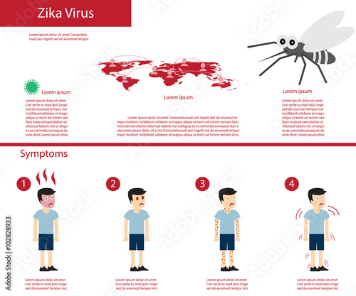 zika virus infographics