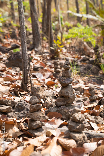 pile of stone in forest