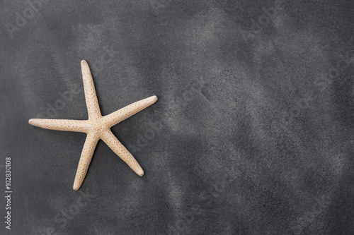 starfish on black background with blank space