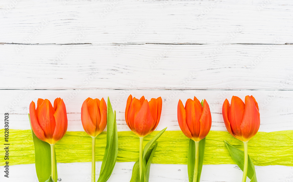 Frühling Blumen Orange Tulpen - obrazy, fototapety, plakaty 