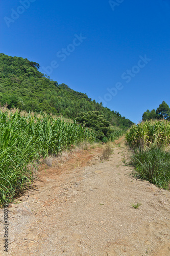 Trekking at Country road in Nova Petropolis - Rio Grande do Sul