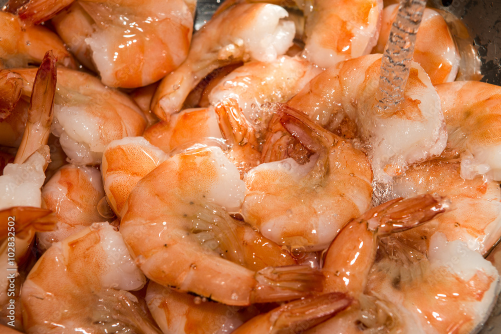 rinsing cooked shrimp in sink with water rinsing cooked shrimp in sink with water