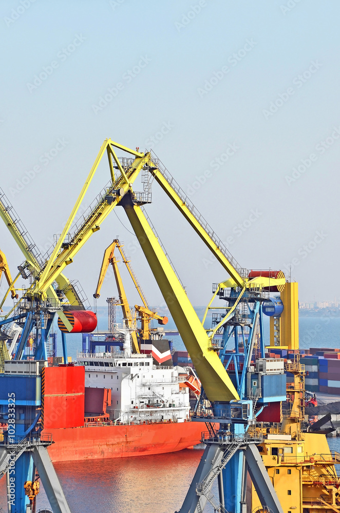 Bulk cargo ship under port crane