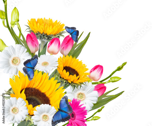 Fototapeta Naklejka Na Ścianę i Meble -  sunflowers and daisy isolated on white background