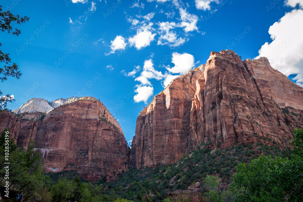 Fototapeta premium Zion National Park 