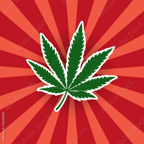 Cannabis leaf green sticker on a bright background