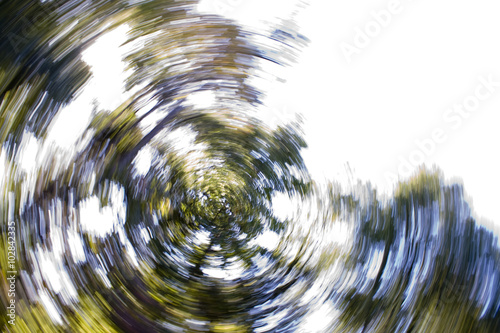Abstract Swirl of Trees photo