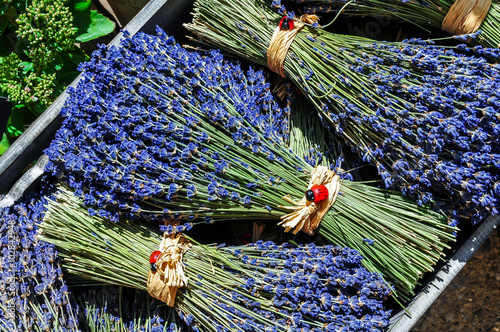 Bouquets de lavande