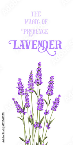 Lavender elegant card 