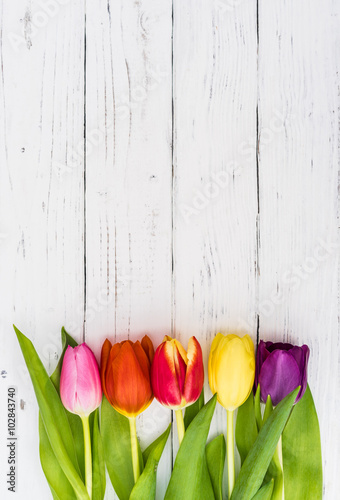 Fototapeta Naklejka Na Ścianę i Meble -  Bunte Blumen Arrangement auf Holz Weiß
