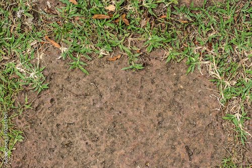 Wallpaper Mural Background of green plants and floor sand Torontodigital.ca