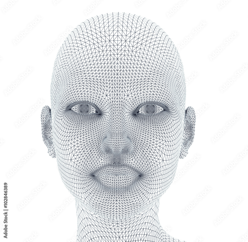 woman face in wireframe lines isolated on white. woman face in wireframe lines isolated on white.