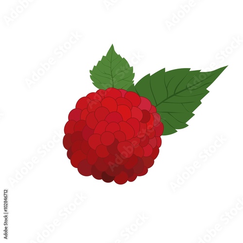 raspberry