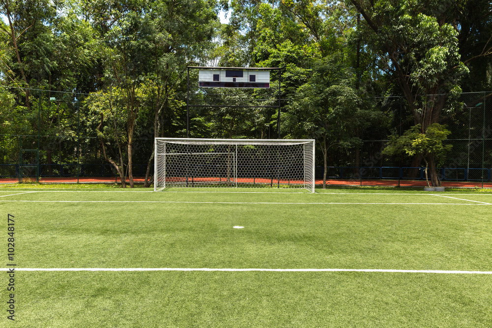 Fototapeta premium Green soccer field
