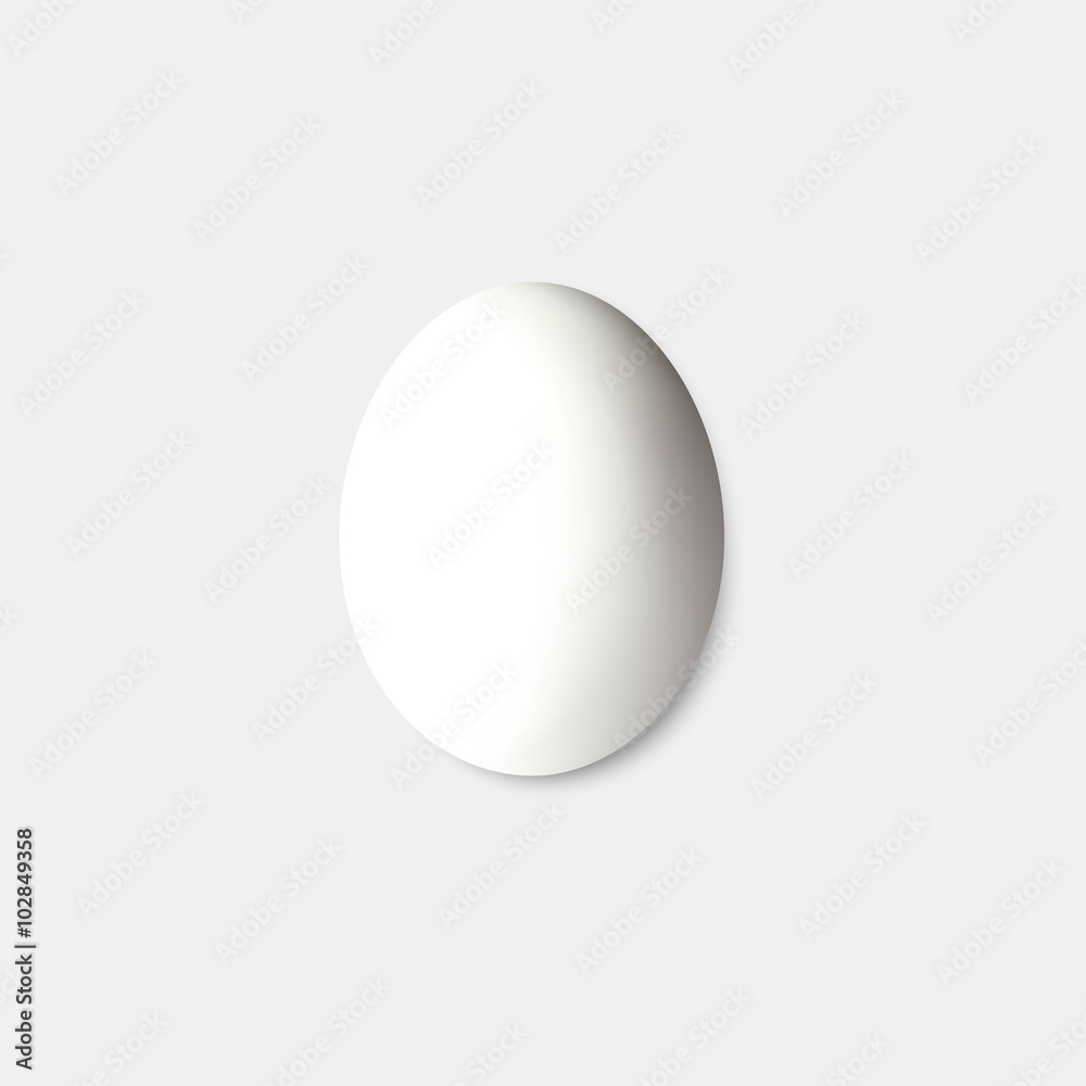 White egg isolated on gray, vector illustation White egg isolated on gray, vector illustation