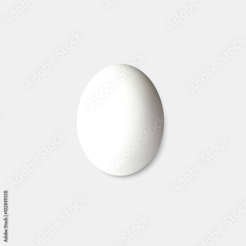 White egg isolated on gray, vector illustation