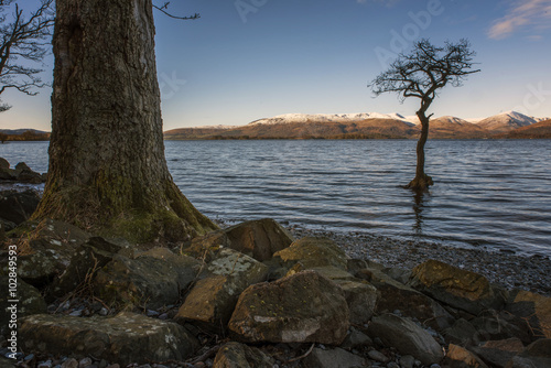 Sunrise over trees at the banks of Loch Lomond © astar321