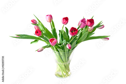 Pink tulips in the vase