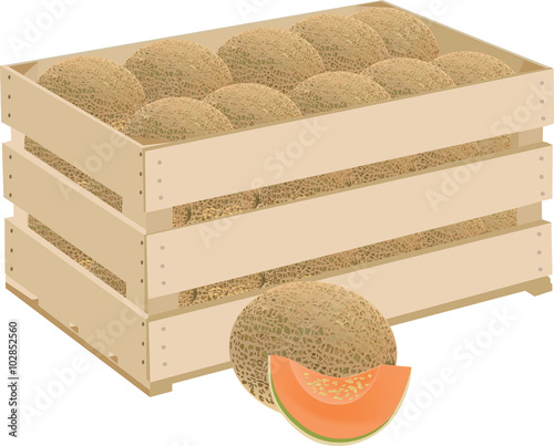 cassetta di frutta
