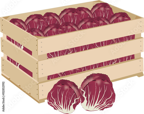 cassetta di radicchio