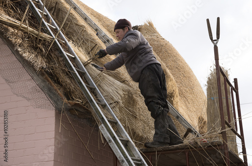 Thatcher with a spar to secure combed wheat reed on the roof of a house