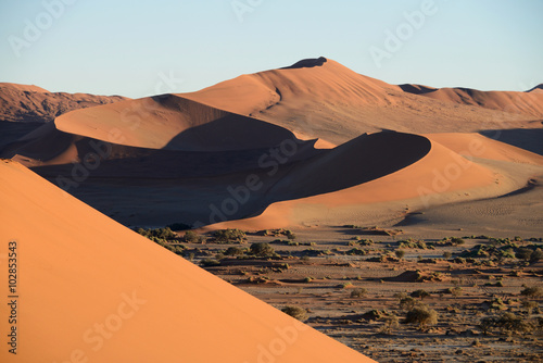 Fototapeta Naklejka Na Ścianę i Meble -  Dead Vlei, Sossusvlei, Namibia