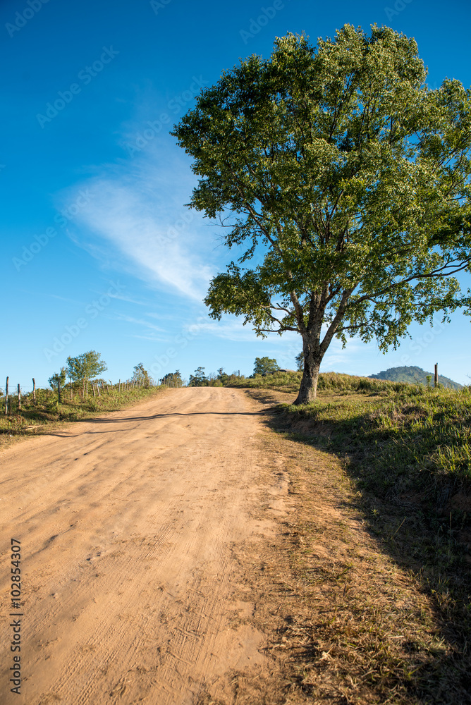 The dirt road in countryside. The dirt road in countryside.