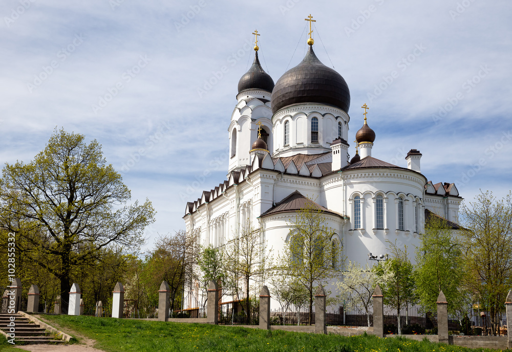 Ancient Cathedral in Lomonosov (Oranienbaum), Russia