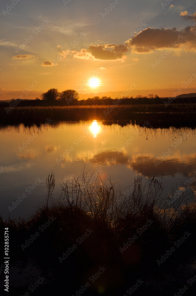 Obraz premium Reinheimer Teich, abends