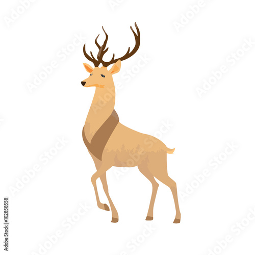 Wild deer on white background in vector
