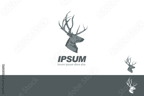 Deer Stag Head sign drawn vintage branding design template