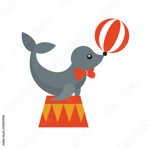 circus seal animal