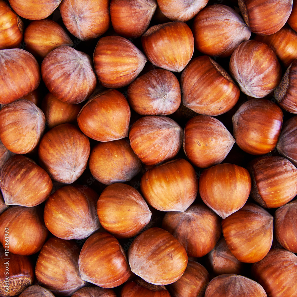 Stack of hazelnuts. Hazelnut background Stack of hazelnuts. Hazelnut background