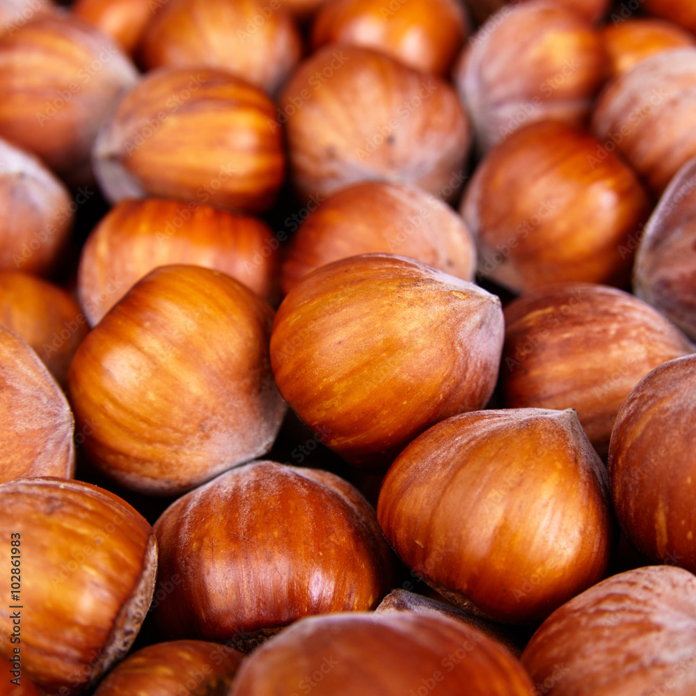 Stack of hazelnuts. Hazelnut background Stack of hazelnuts. Hazelnut background
