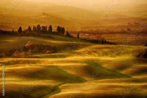 Wavy fields in Tuscany at sunrise, Italy. Natural outdoor seasonal autumn background.