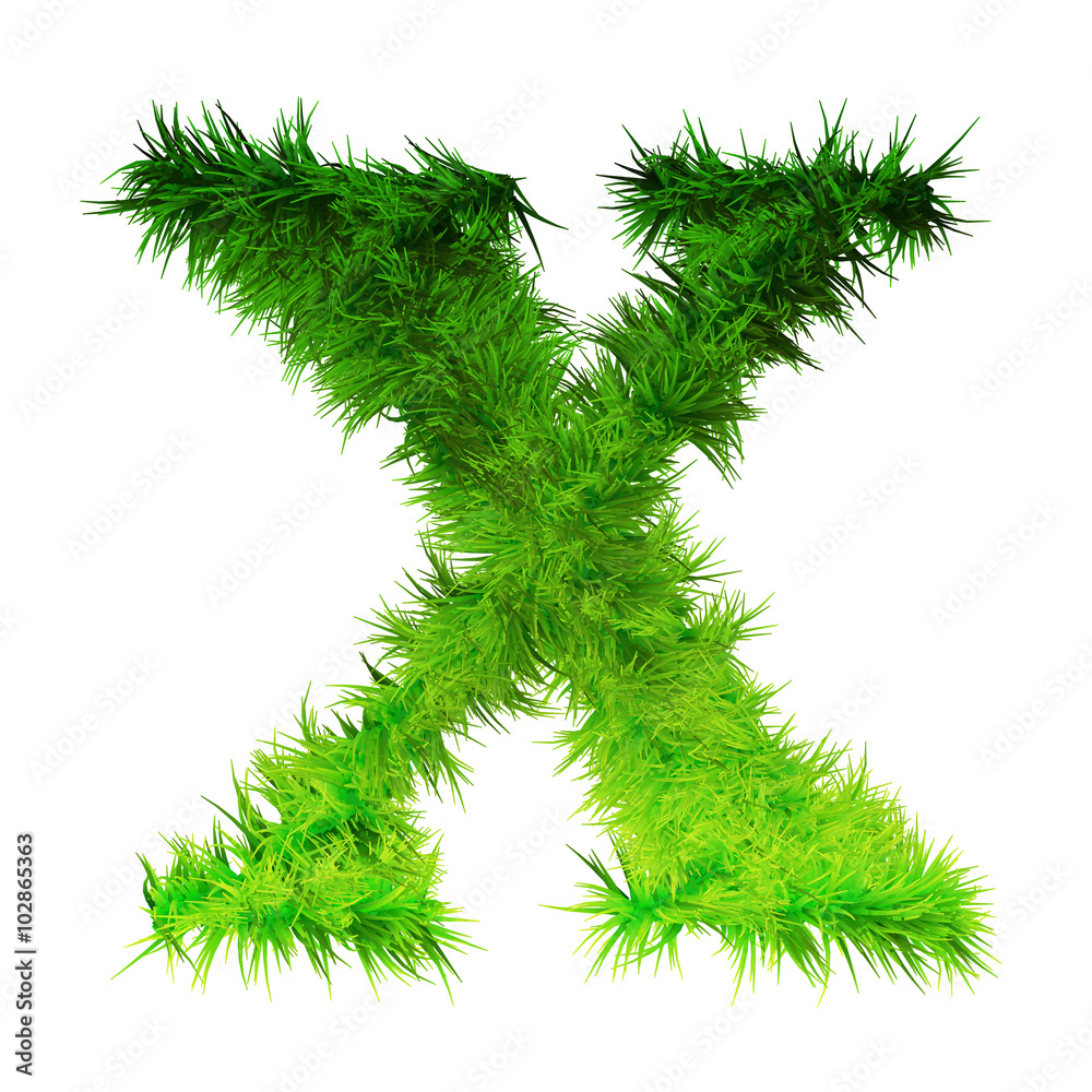 Concept or conceptual green grass, eco or ecology font, part of a set or collection isolated on white background Concept or conceptual green grass, eco or ecology font, part of a set or collection isolated on white background