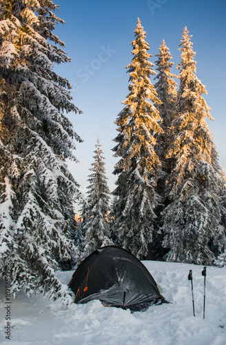 Winter hike in Carpathians. Camping