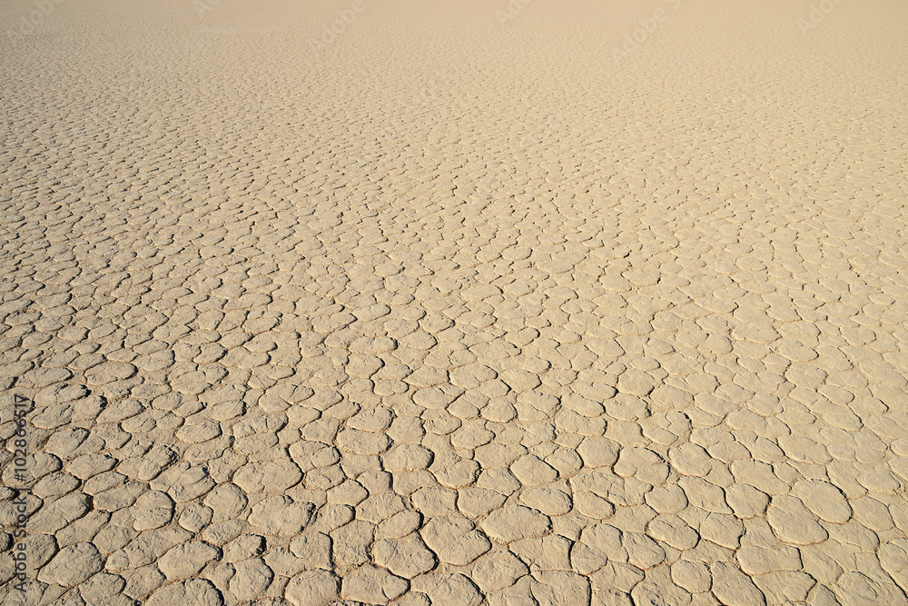 Clod of earth at sunset, Sossusvlei, Namibia Clod of earth at sunset, Sossusvlei, Namibia